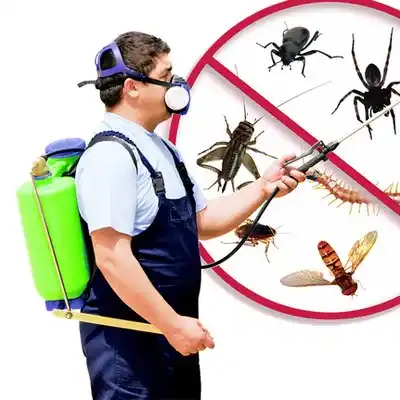 pest control Fairplay